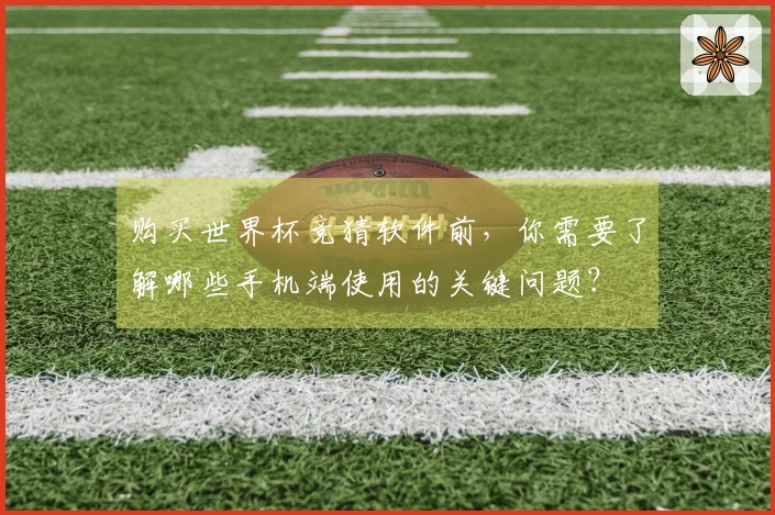 购买世界杯竞猜软件前，你需要了解哪些手机端使用的关键问题？
