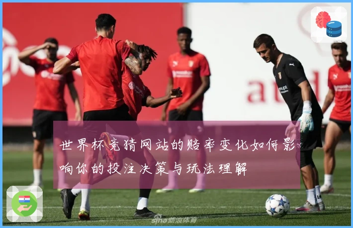 世界杯竞猜网站的赔率变化如何影响你的投注决策与玩法理解