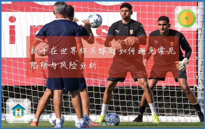 新手在世界杯买球时如何避免常见陷阱与风险分析